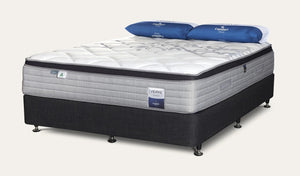 Verve Plush Queen Mattress
