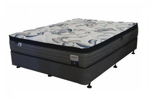 Verve Accord European Queen